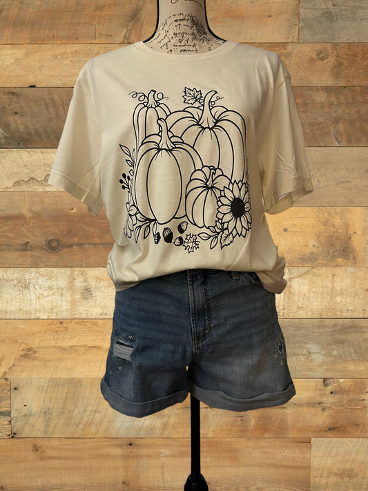 Fall Pumpkins Tee